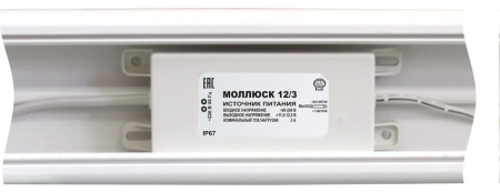 Моллюск 12/3 (866) Моллюск 12/3 (866)