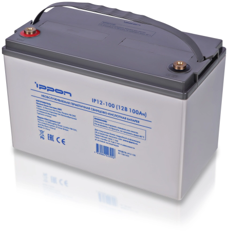 Ippon IP12-100 (1361425)